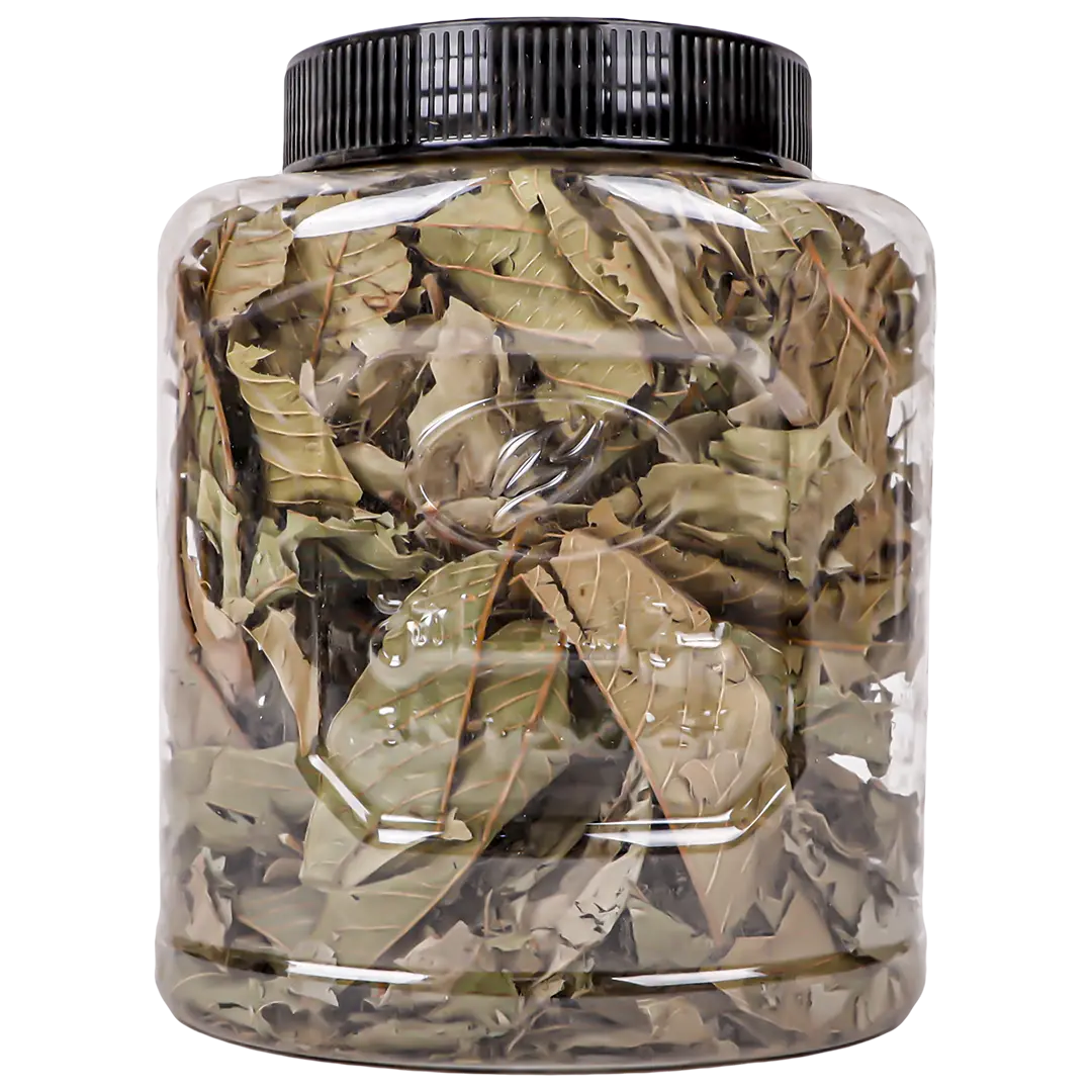Guava Leaves 40 gm - view 2