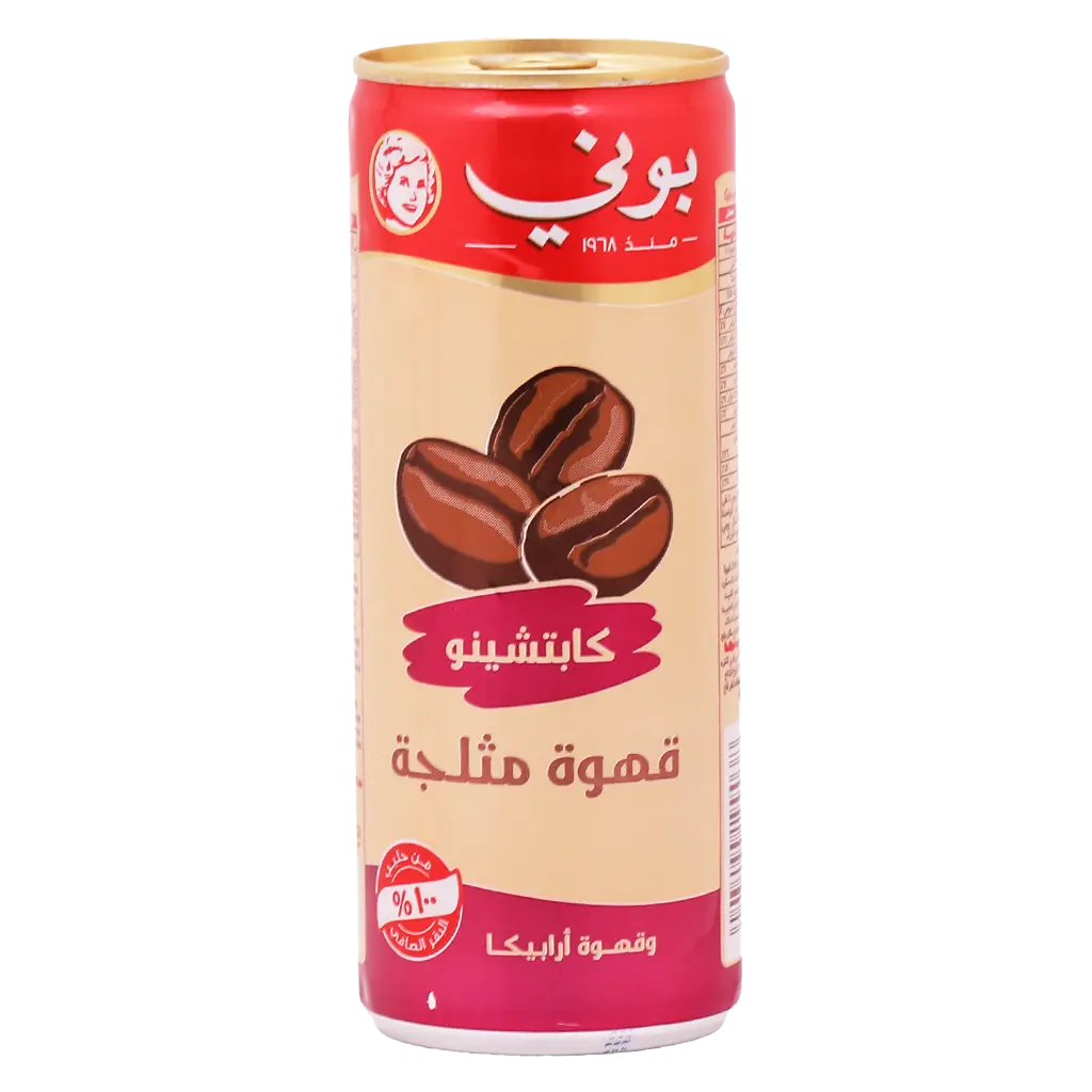بوني قهوة مثلجة كابتشينو 250 مل - view 1