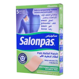 Salonpas Pain Relieving Cold Patch  5 Pcs