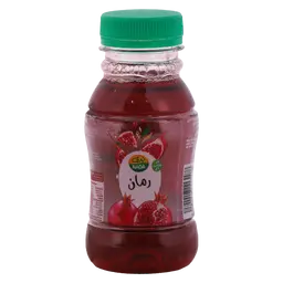 Nada Pomegmanate Juice 200 ml