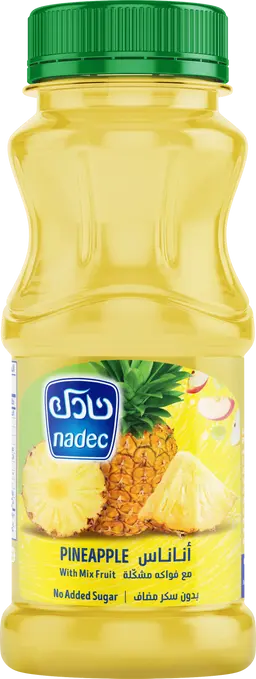 Nadec Nectar Pineapple 180 Ml