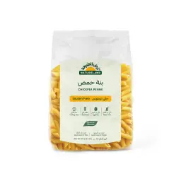 Natureland Organic Gluten Free Chickpea Penne Pasta 250 Gm