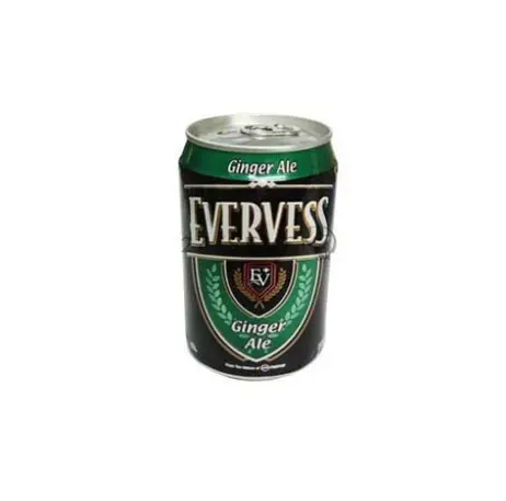 Evervess Ginger Ale 300 Ml - view 1
