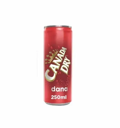 Canada Dry Dana 250 Ml - view 1