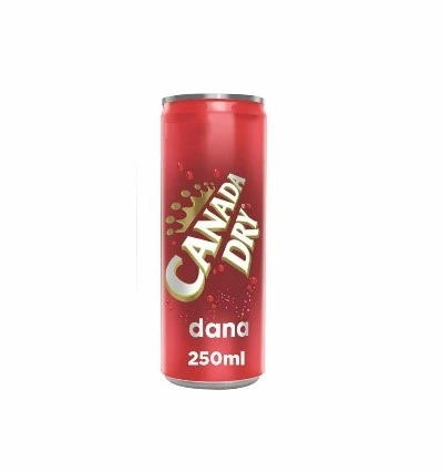 Canada Dry Dana 250 Ml