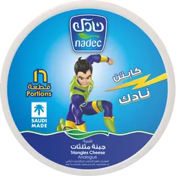 Nadec Triangle Cheese 16 Portions 240 Gm
