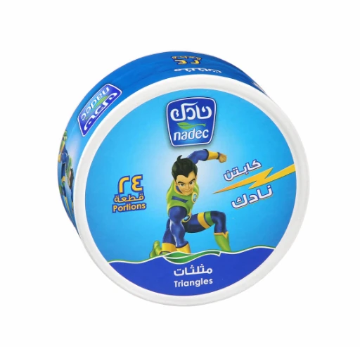 Nadec Triangle Cheese 24 Potions 360 Gm