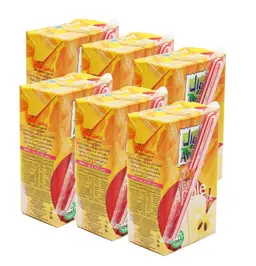Awal Juice Gala Apple No Sugar Added 200MlX6