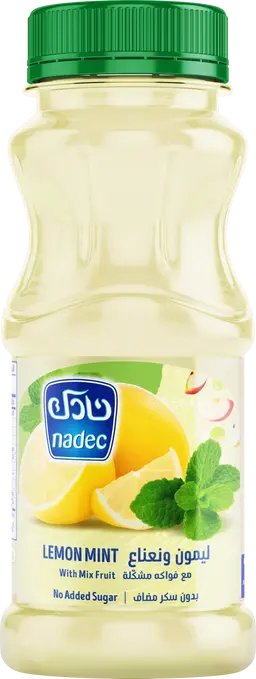 Nadec Nectar Lemon Mint 180 Ml