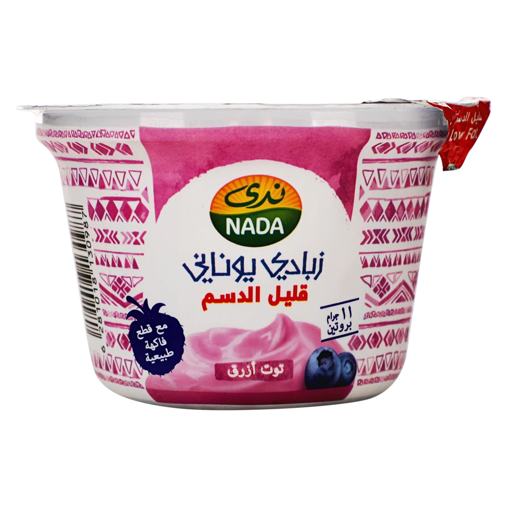 Nada Greek Yoghurt Low Fat Blueberry 160 gm