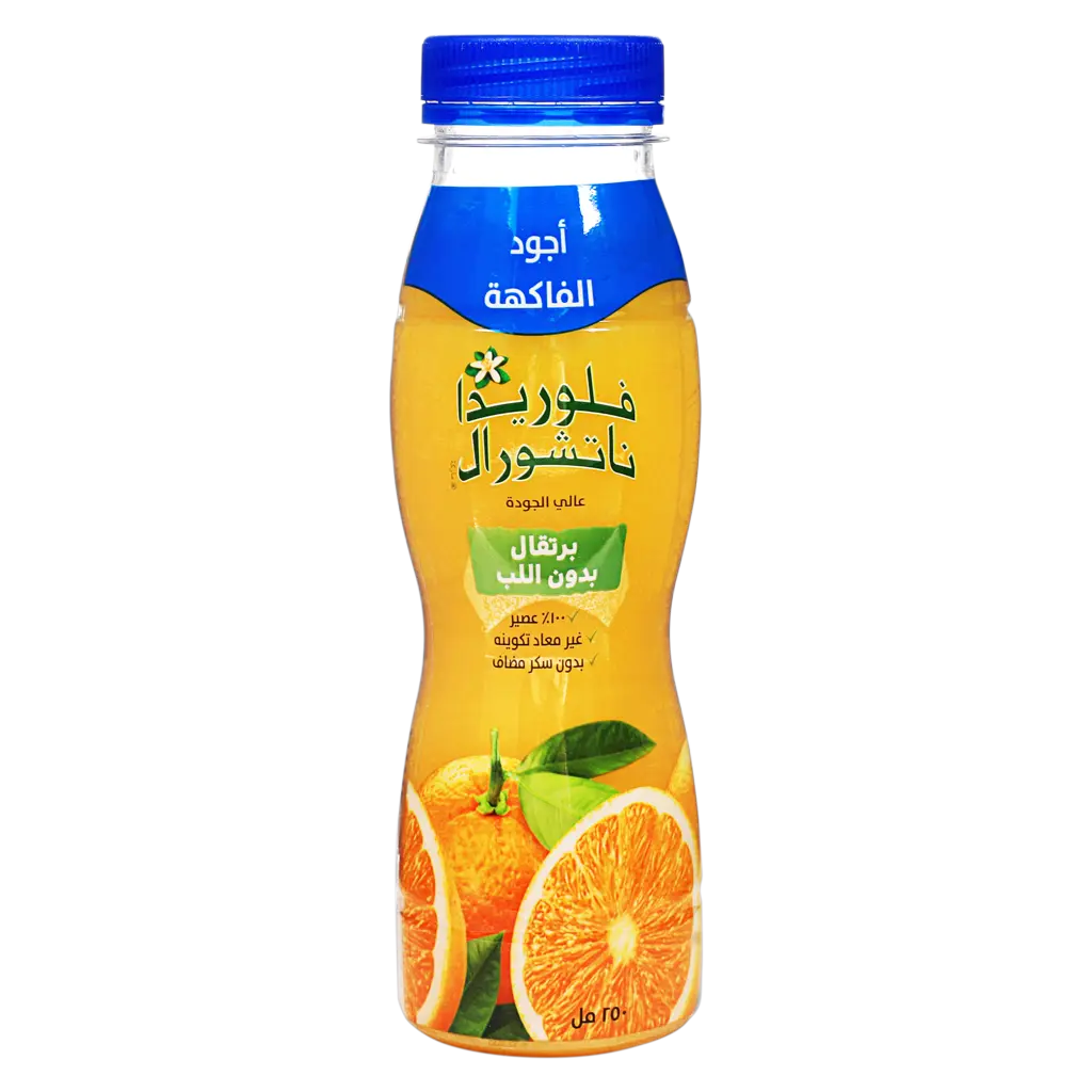 Florida Orange No Pulp Flavor Juice 250 ml - view 1