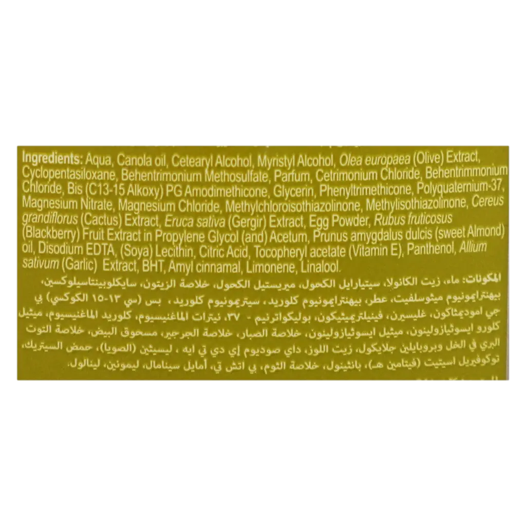 ڤاتيكا مايونيز الشعر لمعالجة تساقط الشعر 500 مل - view 3