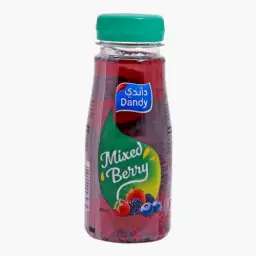Dandy Fresh Juice Mix Berry Pet 200ML