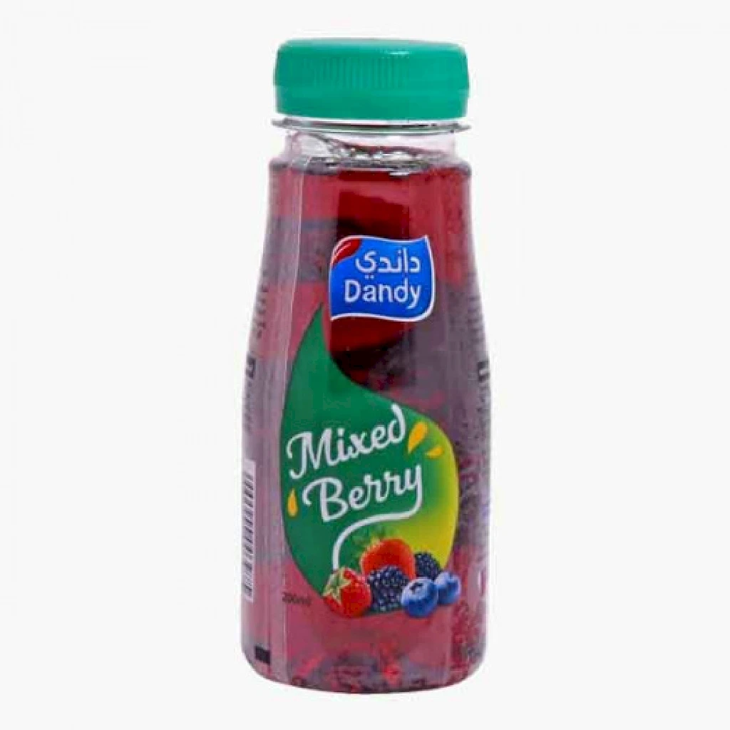 Dandy Fresh Juice Mix Berry Pet 200ML