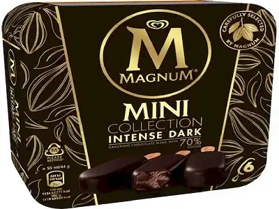 Magnum Intense Dark Chocolate Mini Ice Cream Bar 264G - view 1