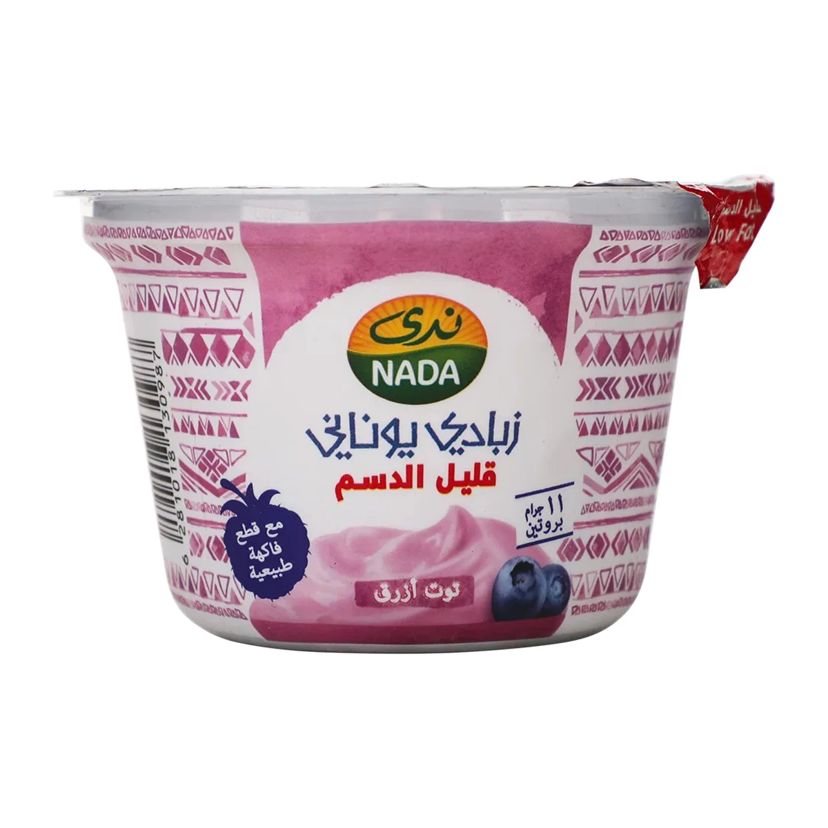 Nada Greek Yoghurt Blueberry Flavor Low Fat 160 gm