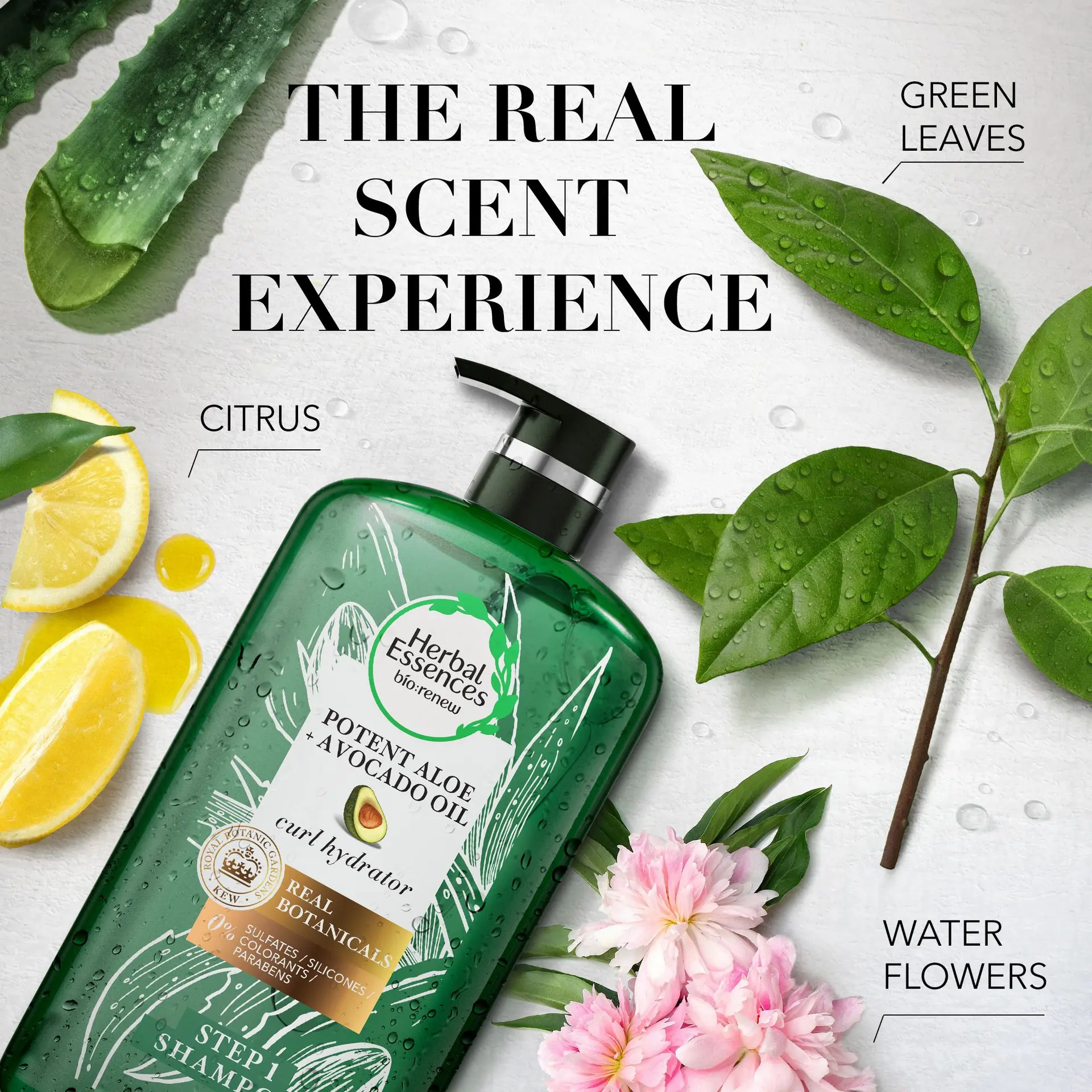 Herbal Essences Bio Renew Potent Aloe Avocado Oil Shampoo 850 ml - view 4