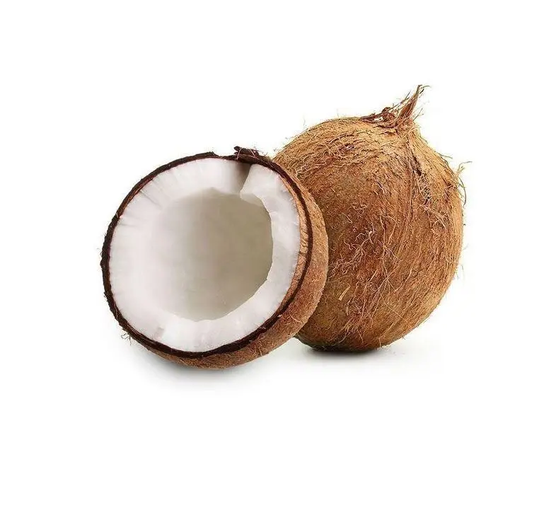 Coconut India - view 1