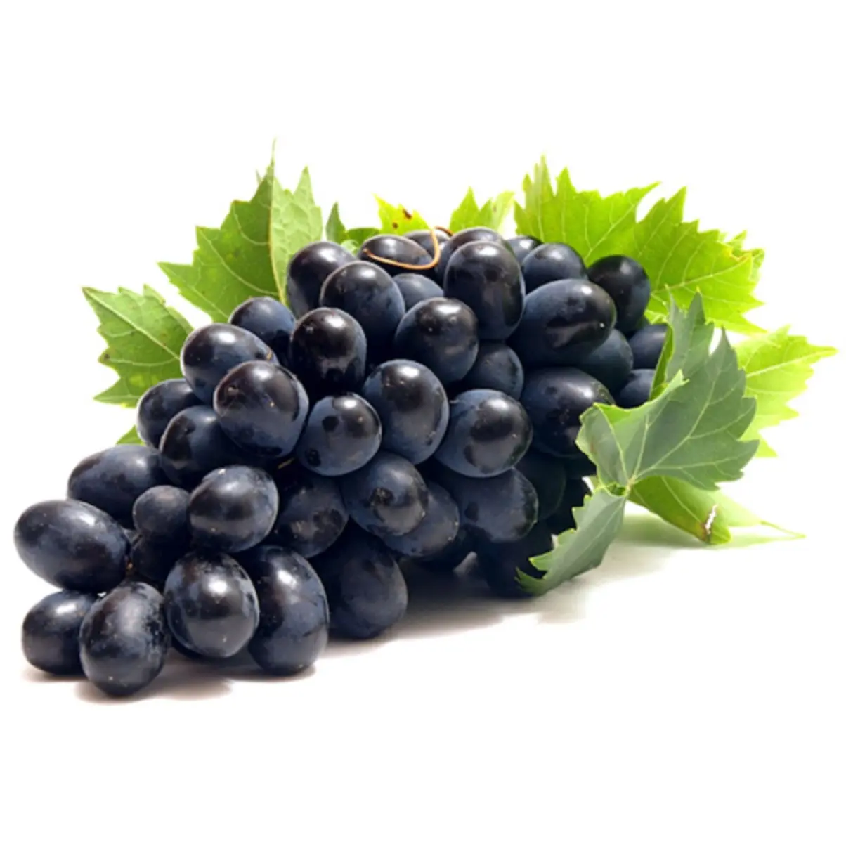 Grapes Black Egypt 500G - view 1