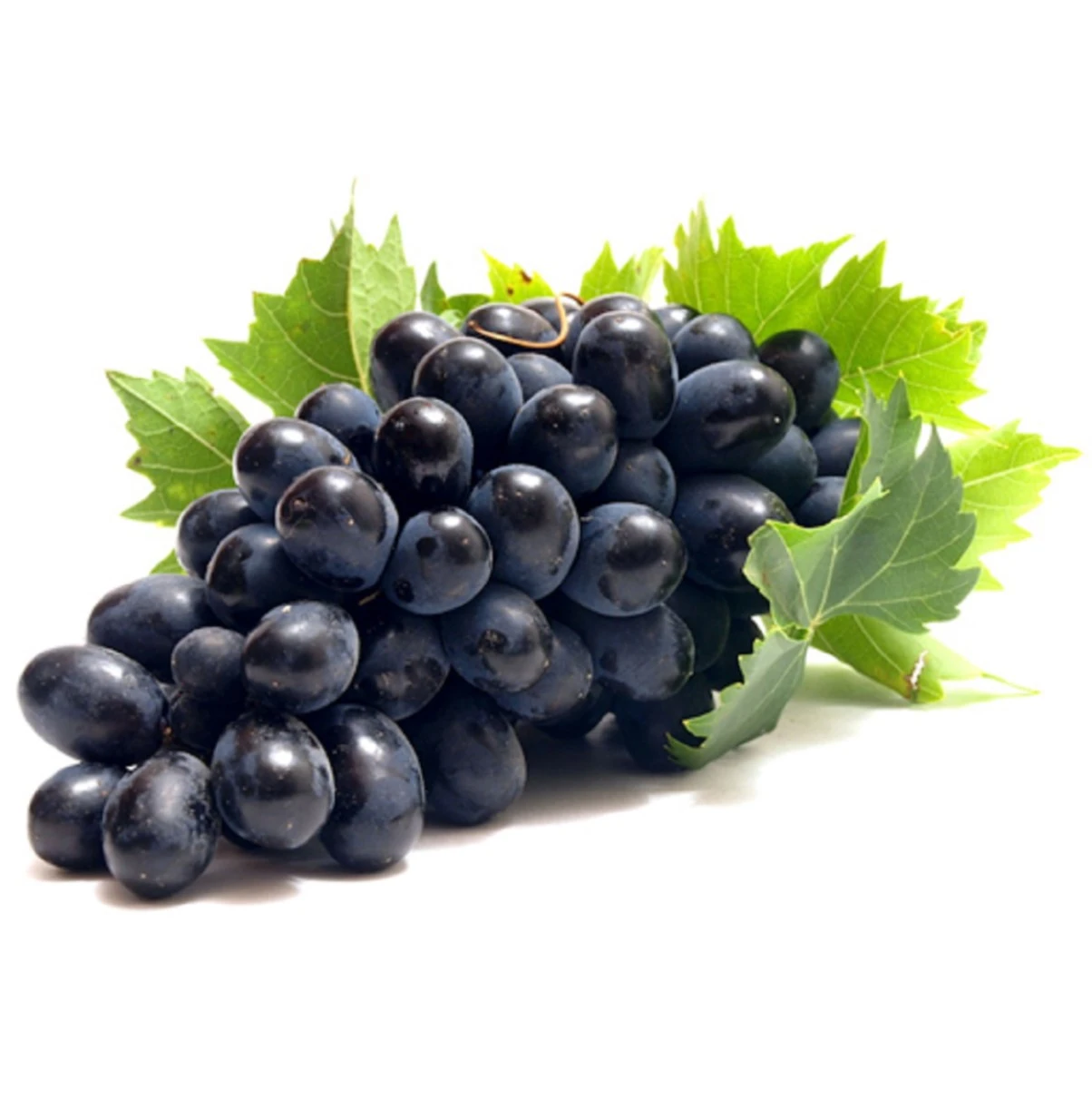 Grapes Black Egypt 500G