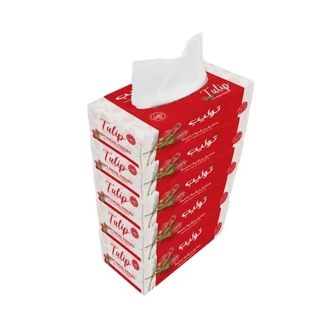 Tulip Facial Tissue Red 200SX5