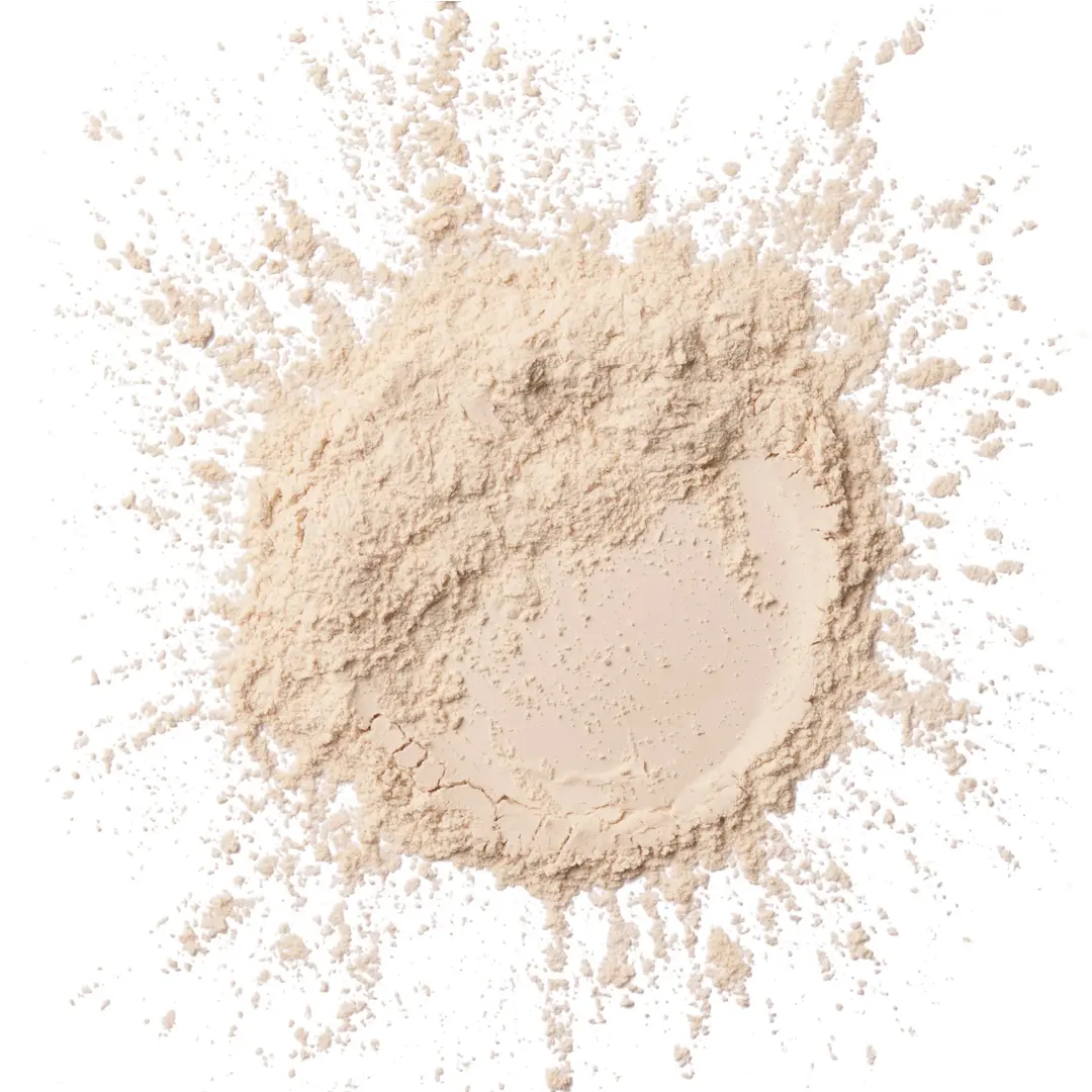 Wetnwild Photo Focus Loose Setting Powder Translucent - view 2