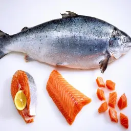 Salmon