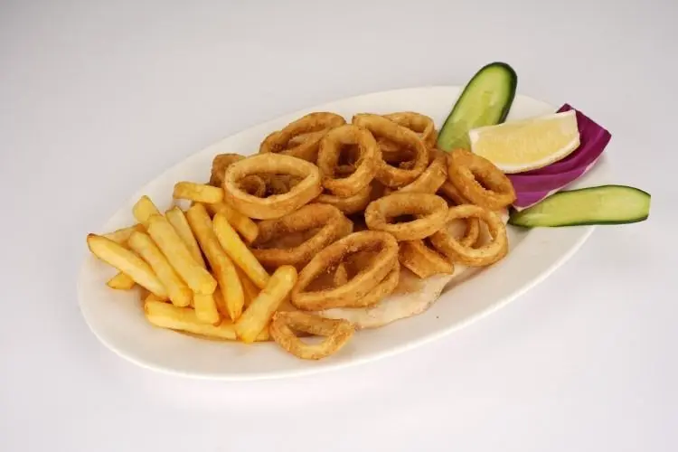 Squid