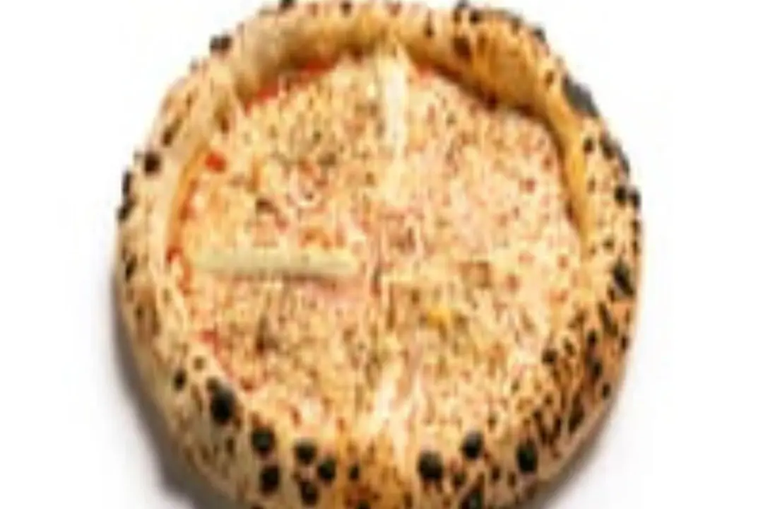4 CHEESE فور تشيز