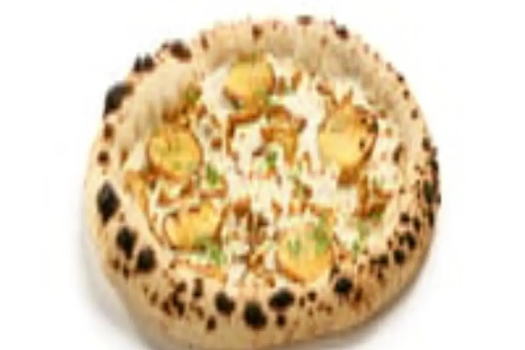 ALFREDO ألفريدو