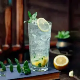 Lemon and Mint Juice