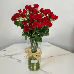 Red Baby Rose Vase