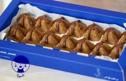 إهرامات السميد و الشعريه السيدة 004923