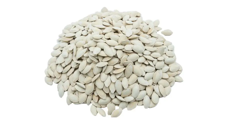 Salty Zucchini Seeds