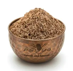 Caraway Seed R217