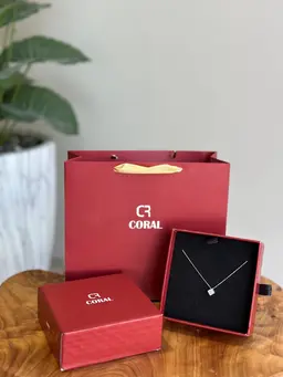 Coral brand silver chain C