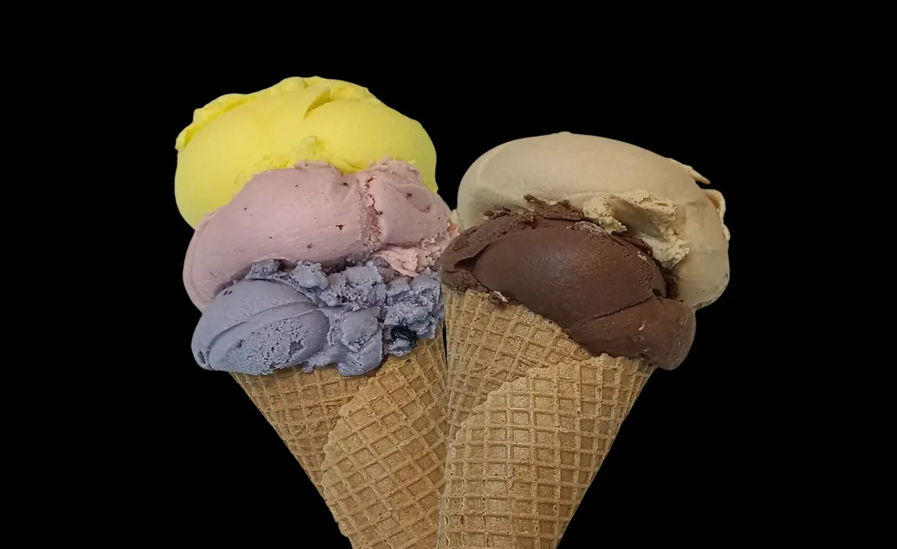 Bakdash Ice Cream