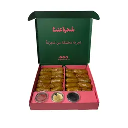 محشي كوسة