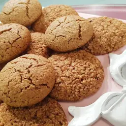Diet Biscuit