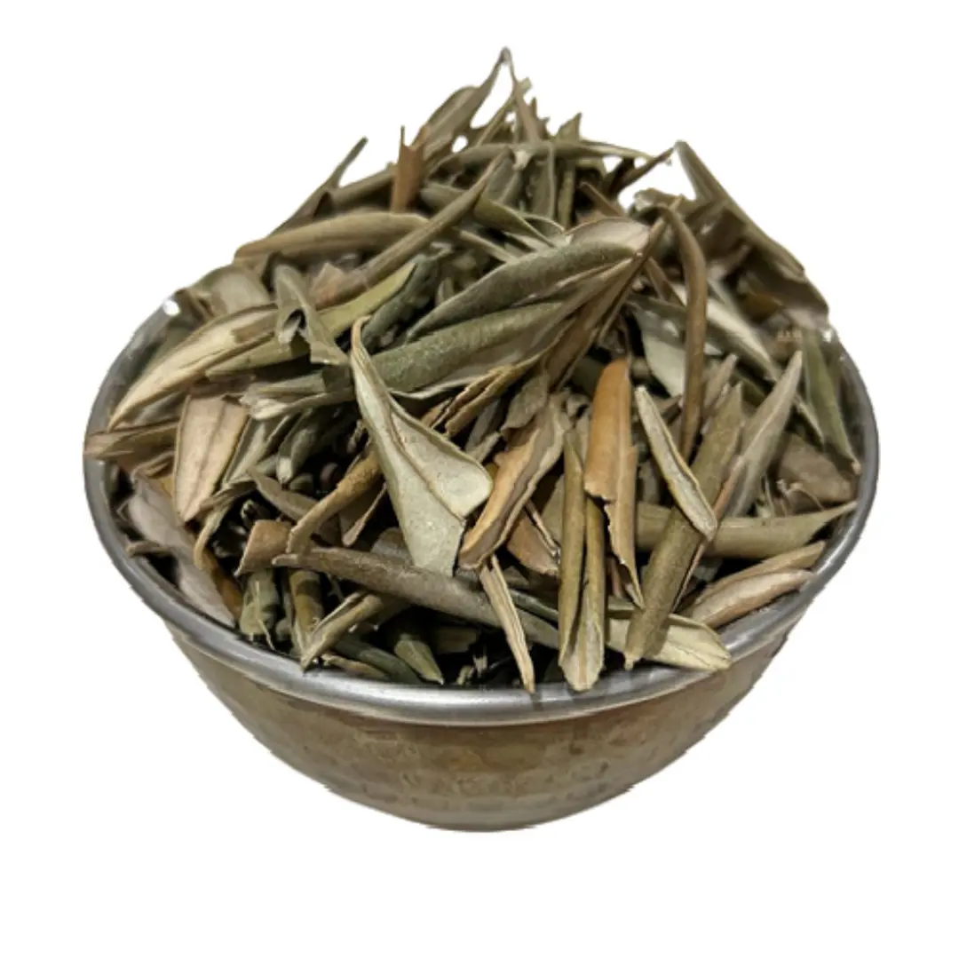 Olive Leaf R272