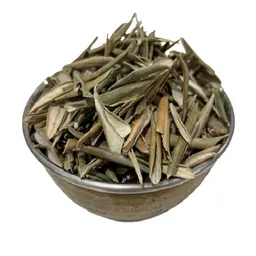 Olive Leaf R272