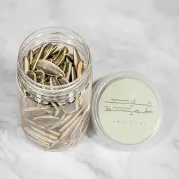 حب دوار شمس