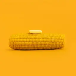 Corn