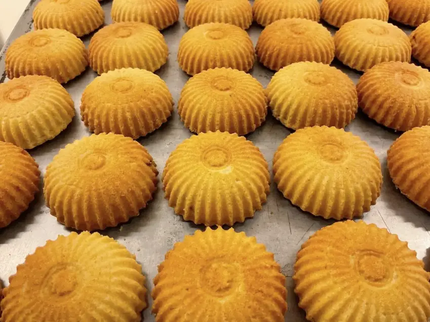 معمول جوز