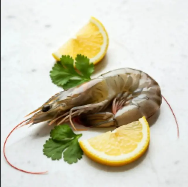 Shrimp