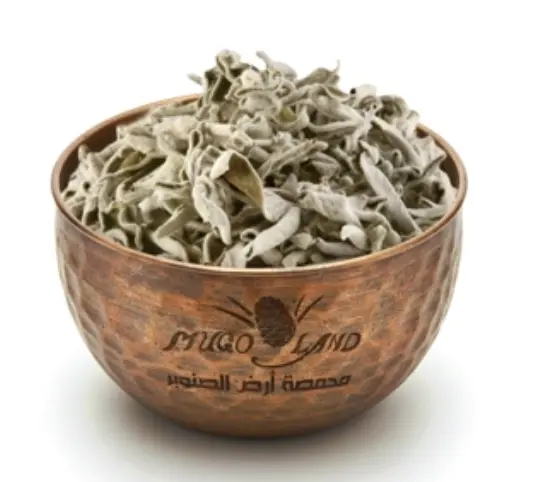 Sage R266 /85GM