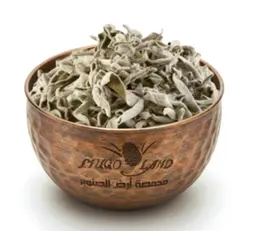 Sage R266 /85GM