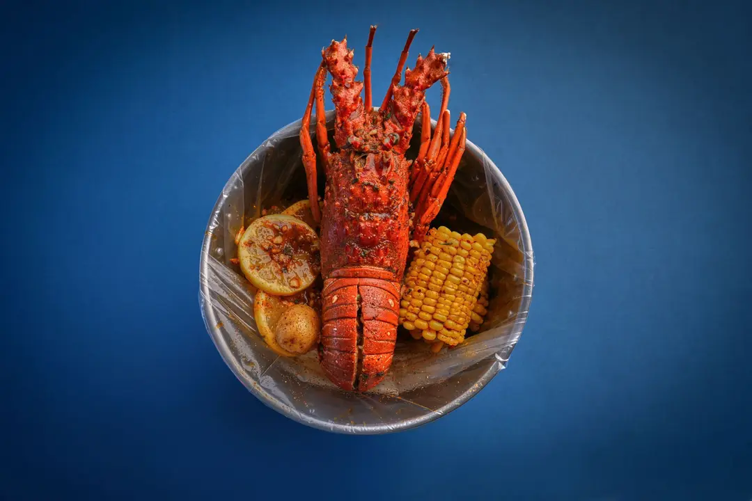 Lobster Regular