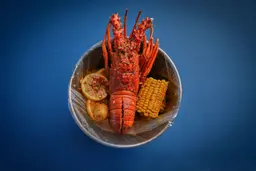 Lobster Regular