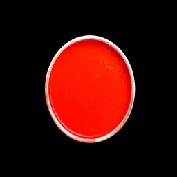 صوص تشيلي